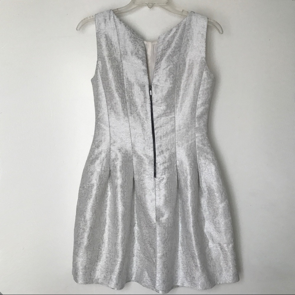 Zara Tulip Silvery Dress - Picture 3 of 8